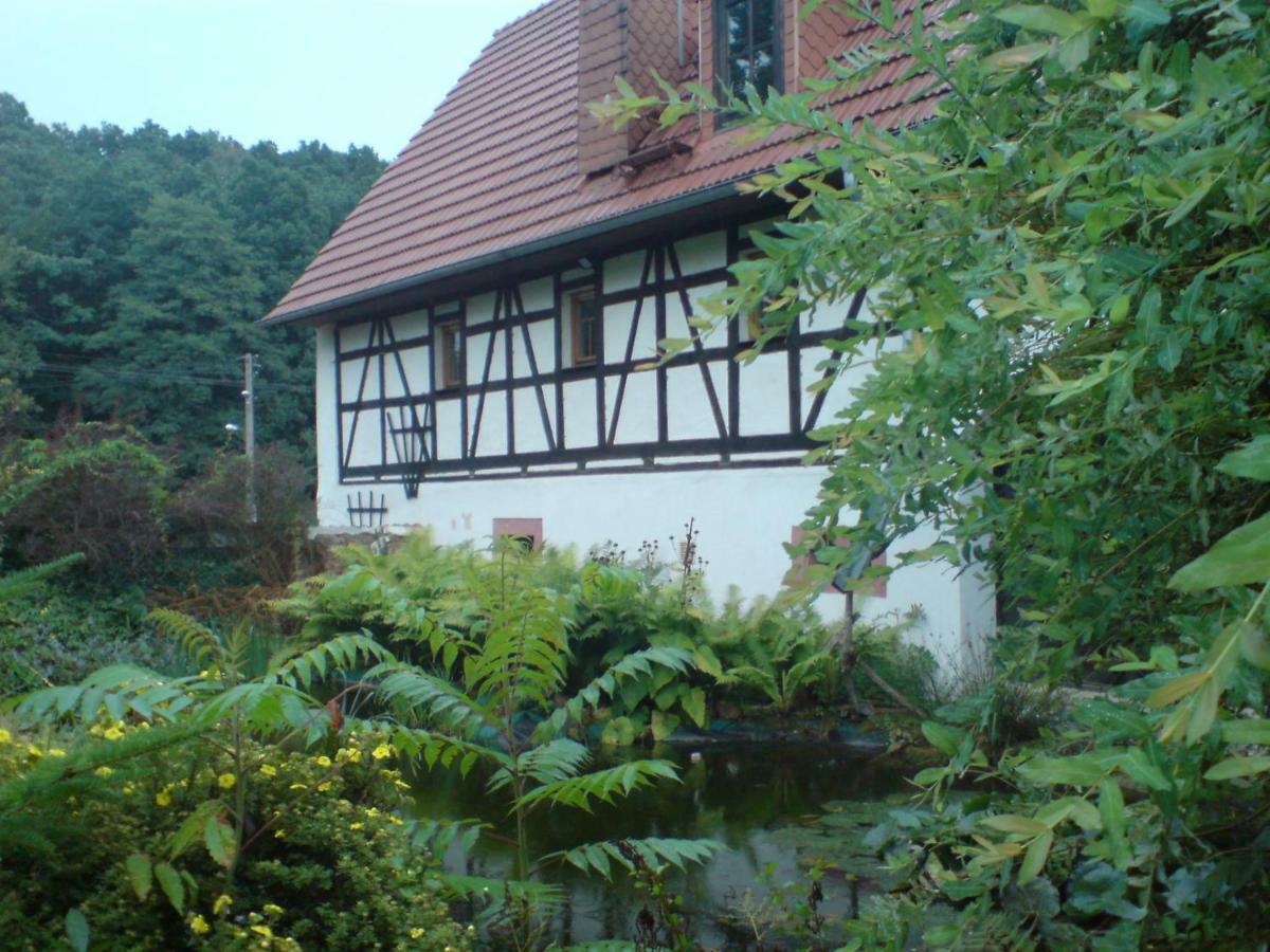 Restaurant & Pension "Bauernhof Zum Silberbergwerk" Limabach - Oberfrohna Exterior foto